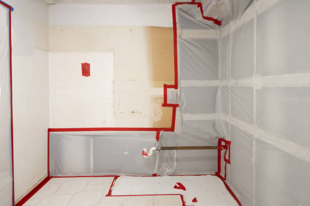 Biohazard Mold Removal in Demopolis, AL