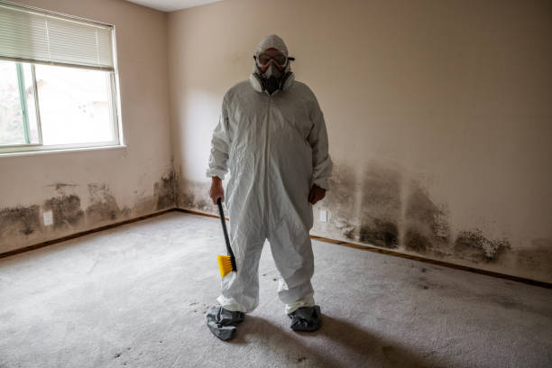 Mold Remediation for Rental Properties in Demopolis, AL